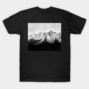 Black Snow Valley Mountain T-Shirt